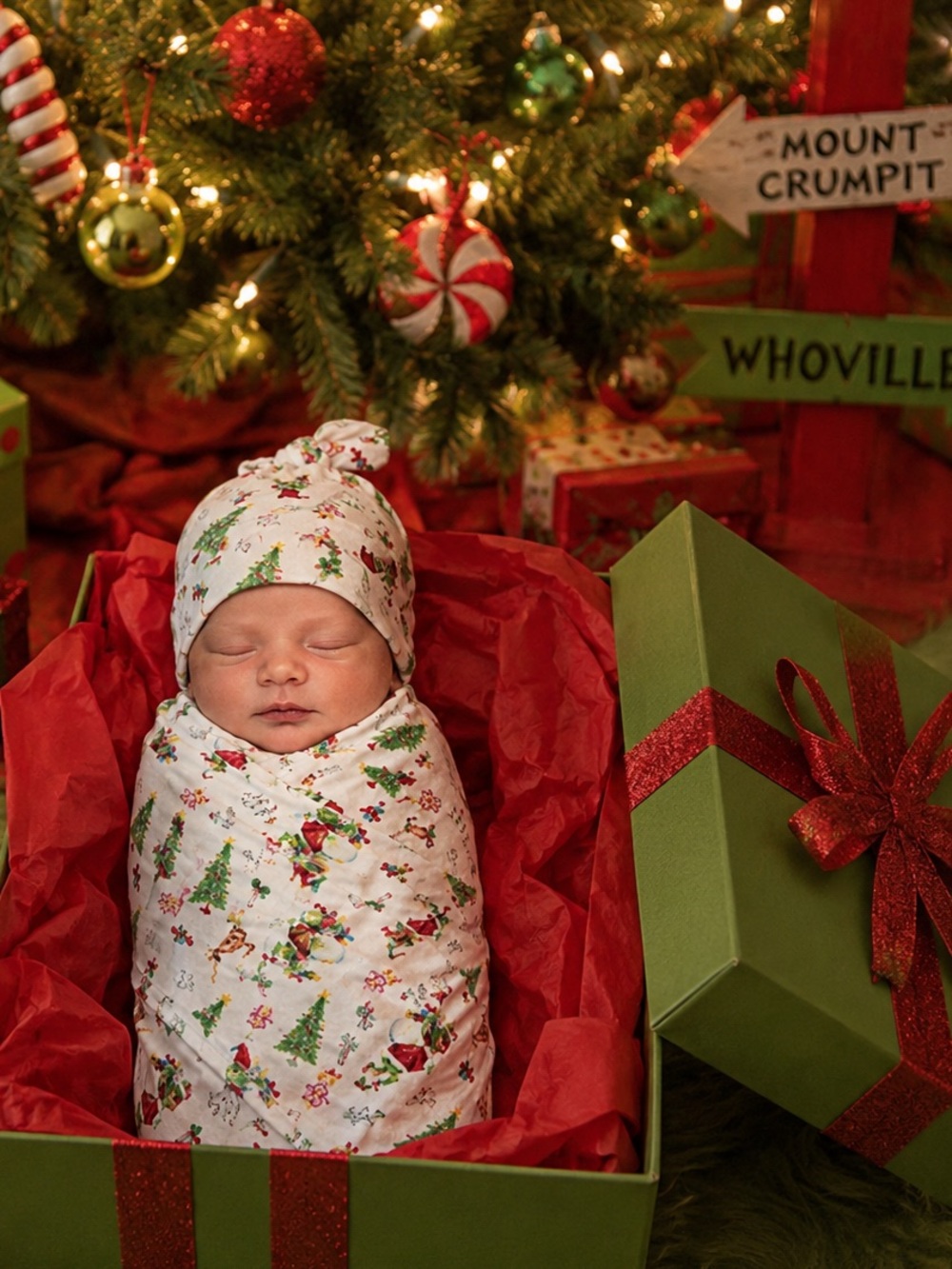 POSH PEANUT 🧩 Sneaky Grinch! Swaddle + Beanie dr. Seuss Whoville Cindy Lou Who!